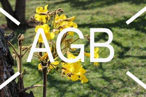 20191003AGB-6