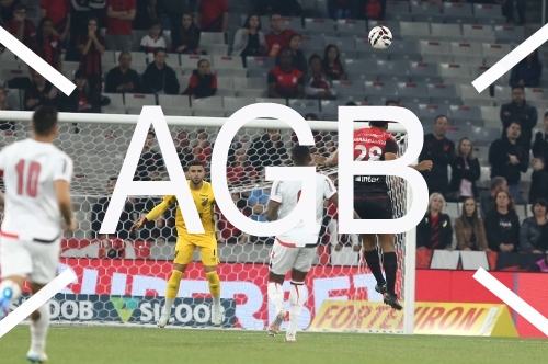 Atlhetico X Botafogo/SP
