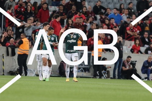 BR ATHLETICO X PALMEIRAS