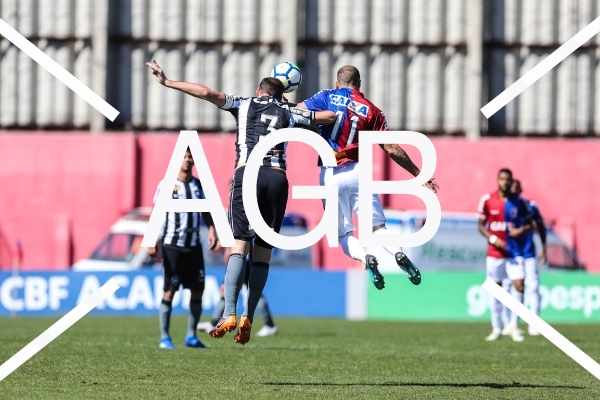 Brasileirao Parana X Botafogo