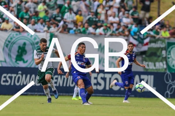 Brasileirao Parana X Palmeiras