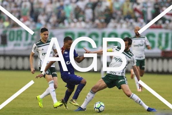 Brasileirao Parana X Palmeiras