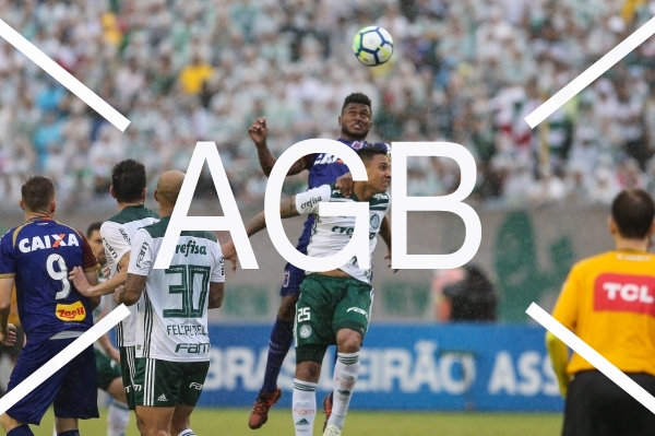 Brasileirao Parana X Palmeiras