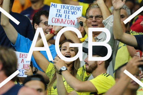 Copa America ARG X COL