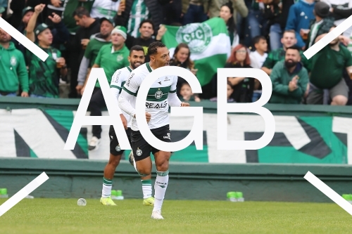 Coritiba X Avai
