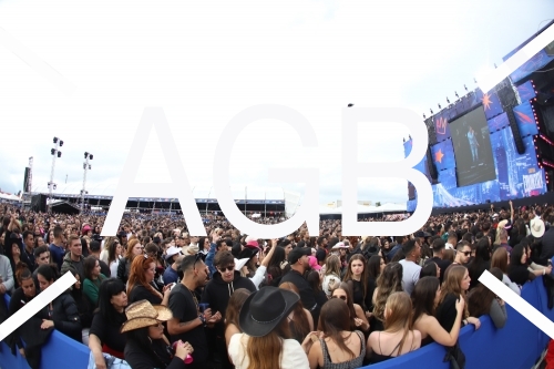 Country Festival 24