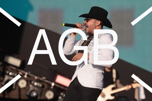 Country Festival 25