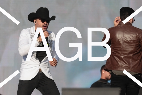 Country Festival 25
