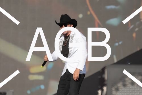 Country Festival 25