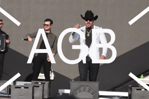 Country Festival 25