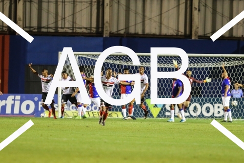 Serie B Parana X Botafogo-SP