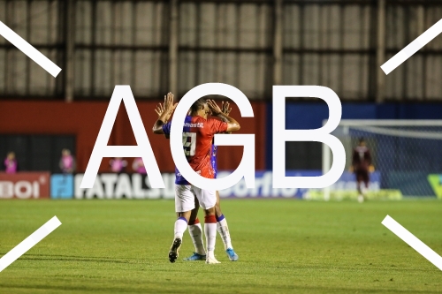 Serie B Parana X Botafogo-SP