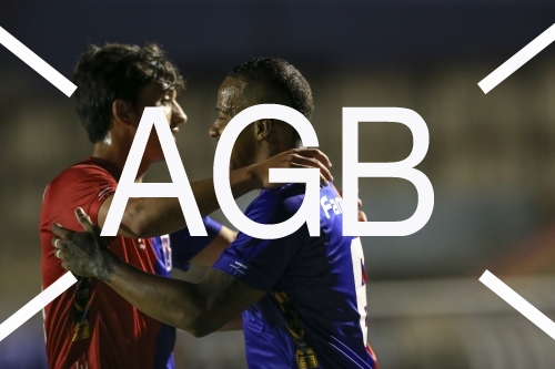 Serie B Parana X Botafogo-SP