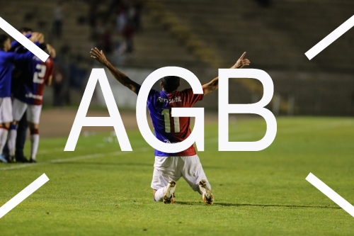 Serie B Parana X Botafogo-SP